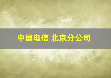 中国电信 北京分公司